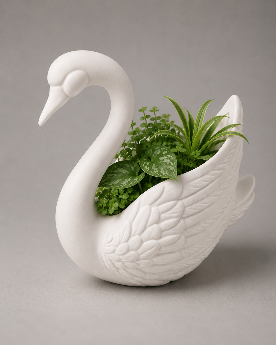 Macetero Cisne "Cygnus"