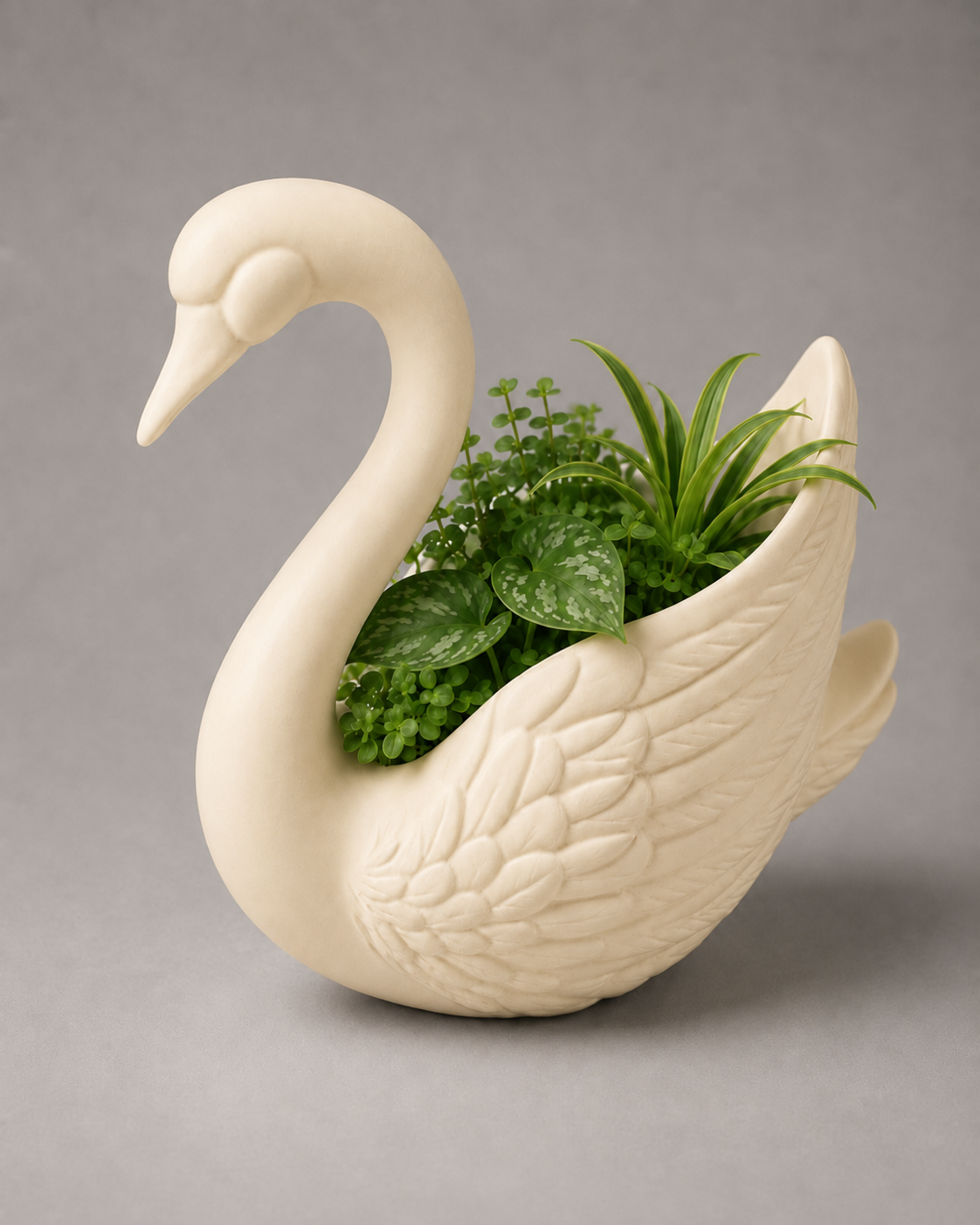 Macetero Cisne "Cygnus"